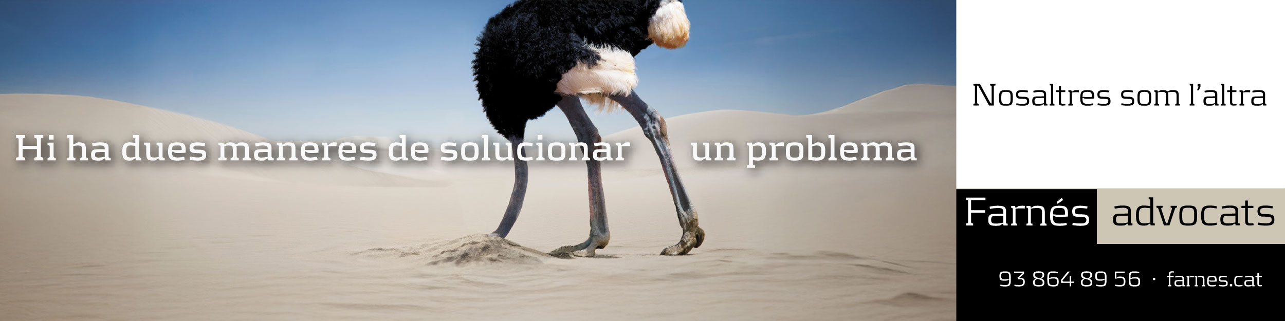 ads-immobiliaria-farnes-1773292502