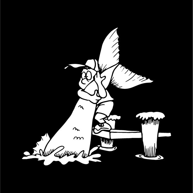 logo peixateria fité