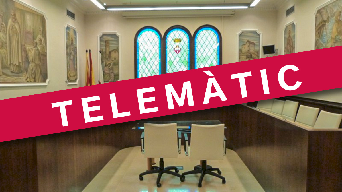 231-ordenances-fiscals-i-problemes-tecnics-al-ple-d-octubre-1604660508