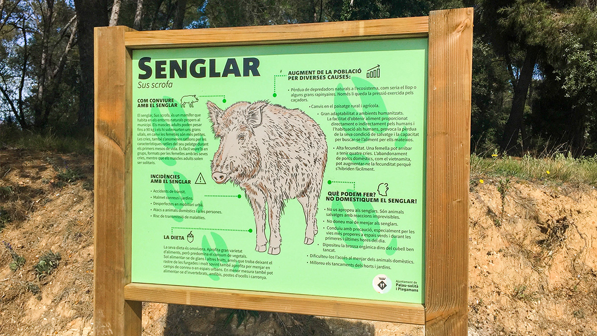 236-senyalitzacions-de-presencia-de-senglars-a-psip-1617344853