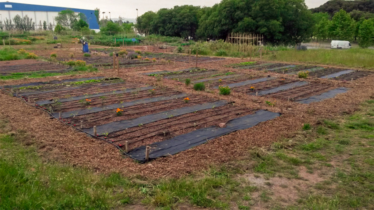 237-horts-reservats-per-a-serveis-socials-1619160084