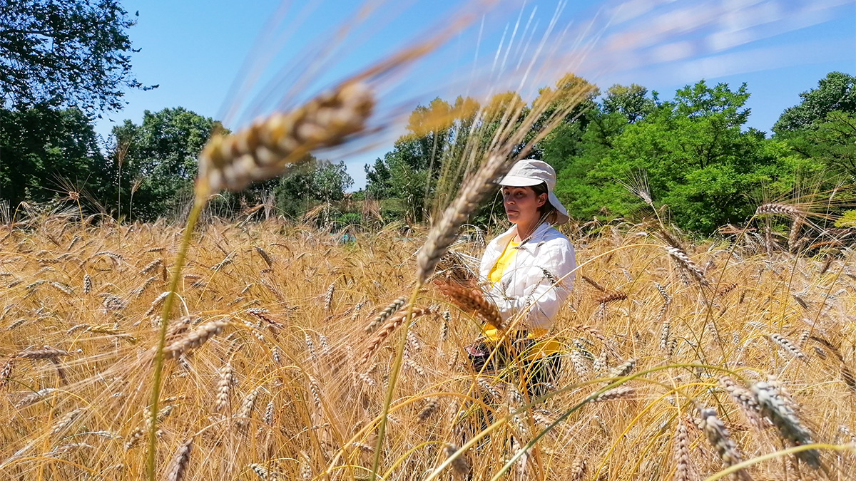 241-projecte-ecostack-a-l-espai-rural-de-gallecs-1633791266