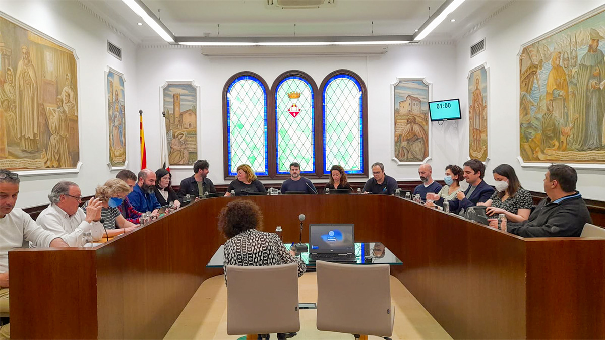 248-resum-del-ple-ordinari-d-abril-1651829932