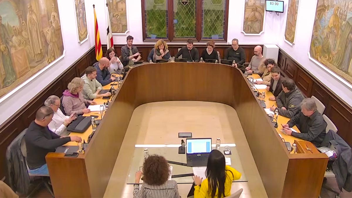 254-resum-del-ple-ordinari-de-novembre-1670057534