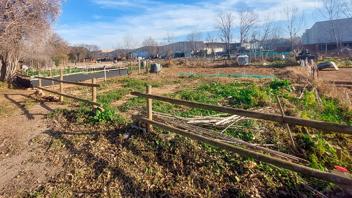 262-els-horts-municipals-de-boada-vell-1693754238