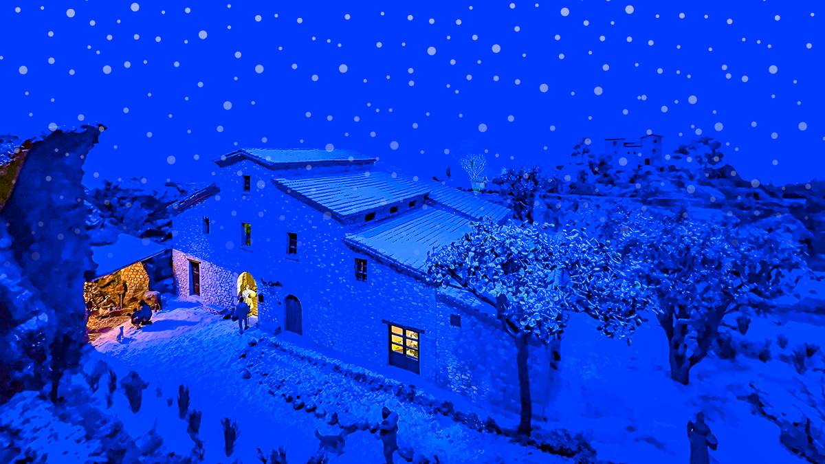 276-viu-el-nadal-1734546297