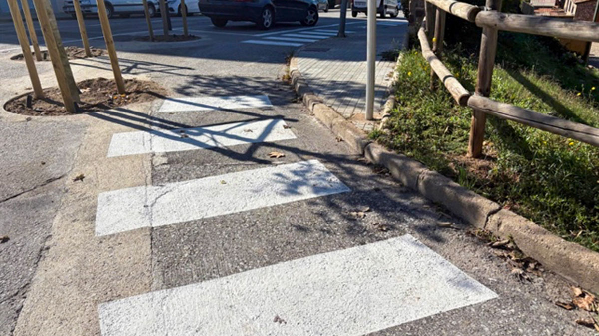 286-respostes-del-govern-a-les-preguntes-del-partit-socialista-1762580150