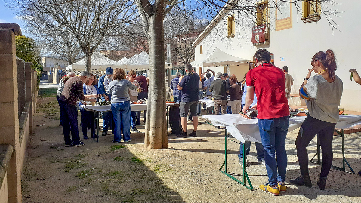 290-activitats-de-l-associacio-pessebrista-marc-1773291457