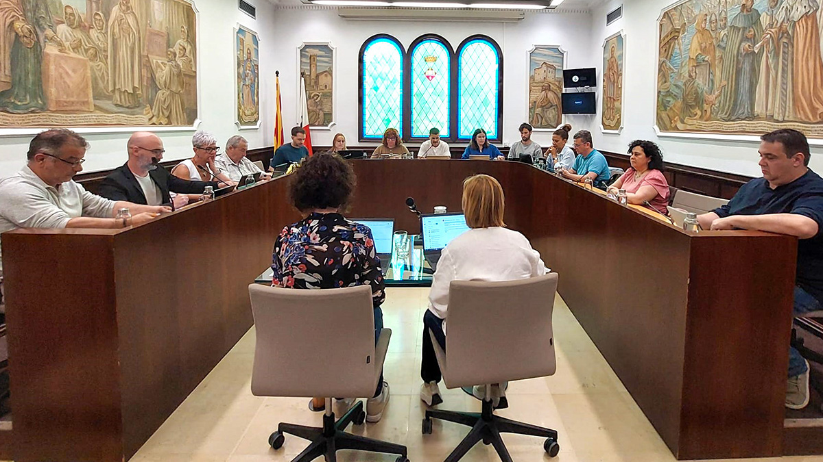 292-resum-del-ple-ordinari-d-abril-civisme-i-llengua-1778290814