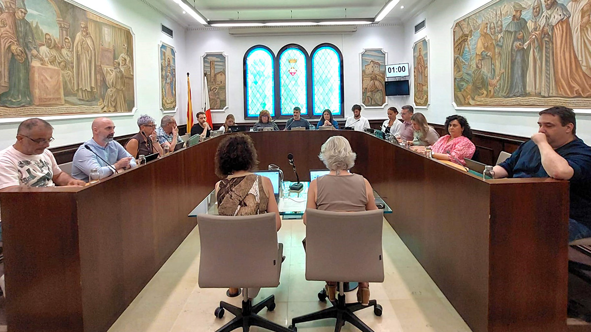 293-resum-del-ple-ordinari-de-maig-codi-etic-i-agents-a-les-aules-1780807577