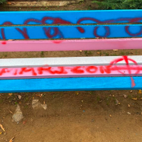 Onada d’actes vandàlics a la vila