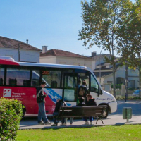 Feminització de la vila