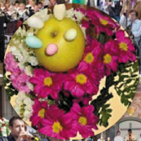 Estadal del Roser de Sant Genís