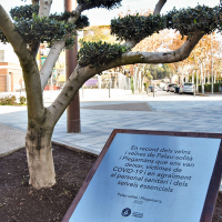 Homenatge a les víctimes de la pandèmia