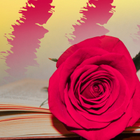 Una rosa, un llibre... Sant Jordi 2023