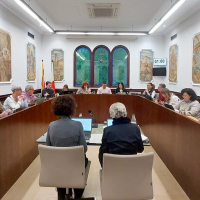 Resum del Ple ordinari de març: dèficits urbanístics i registre de naixements