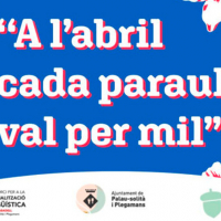 3a Gimcana Lingüística