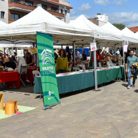 Celebració de la Diada de Sant Jordi 2026