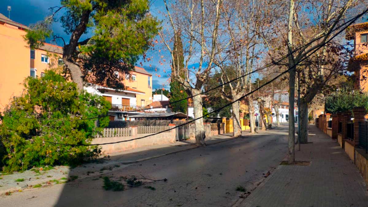 <i class='fas fa-caret-right fa-lg' ></i> Arbres i cables caiguts al passeig de la Carrerada. [Foto: Ajuntament].