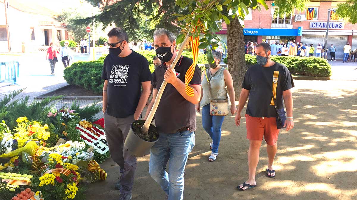 <i class='fas fa-caret-right fa-lg' ></i> Ofrena floral | CUP Palau.