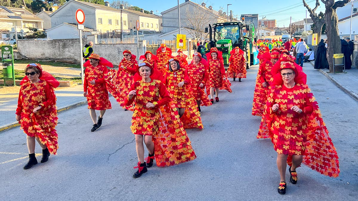 <i class='fas fa-caret-right fa-lg' ></i> Carnaval 2023.