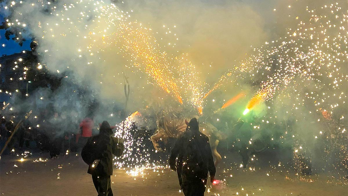 <i class='fas fa-caret-right fa-lg' ></i> Mercat Medieval 2023.