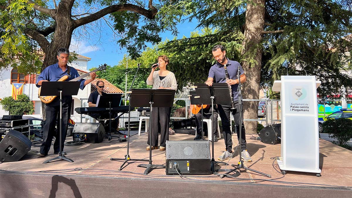 <i class='fas fa-caret-right fa-lg' ></i> Diada de l'Onze de Setembre