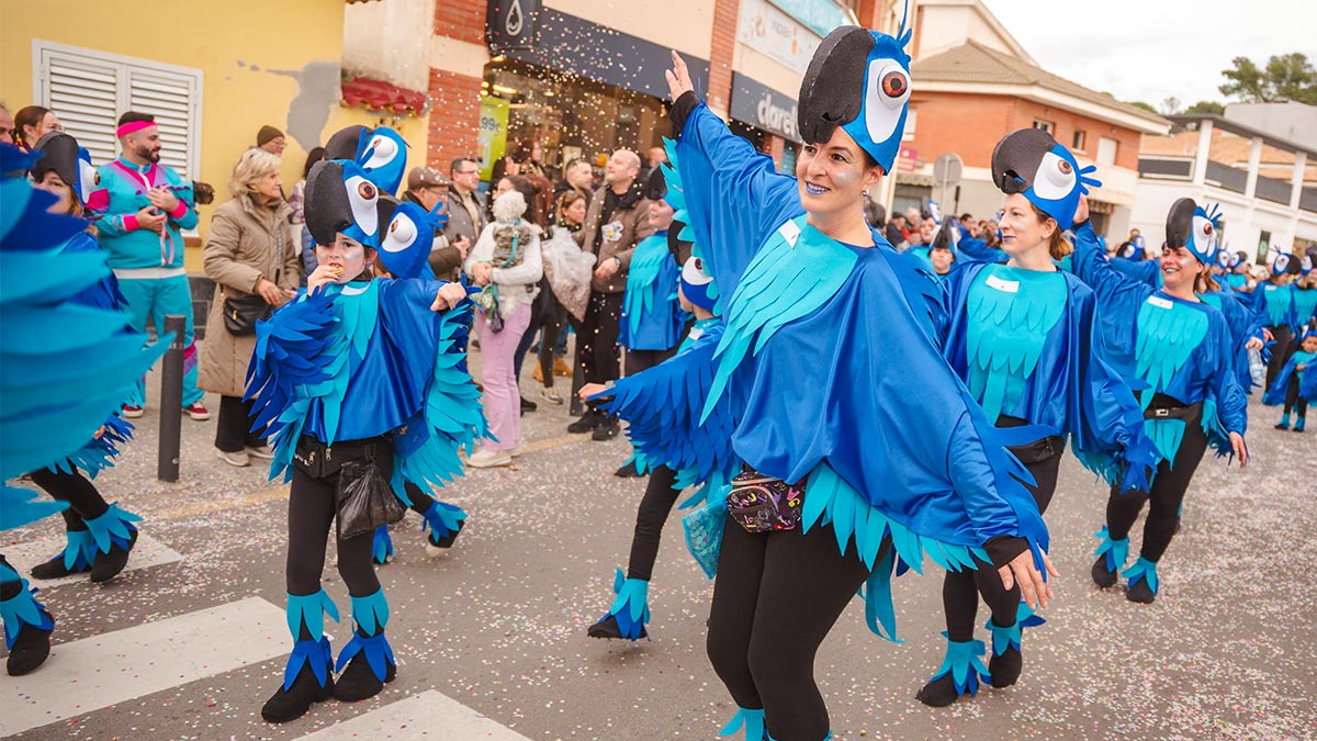 <i class='fas fa-caret-right fa-lg' ></i> Carnestoltes 2025 | Aj PsiP ©M Font