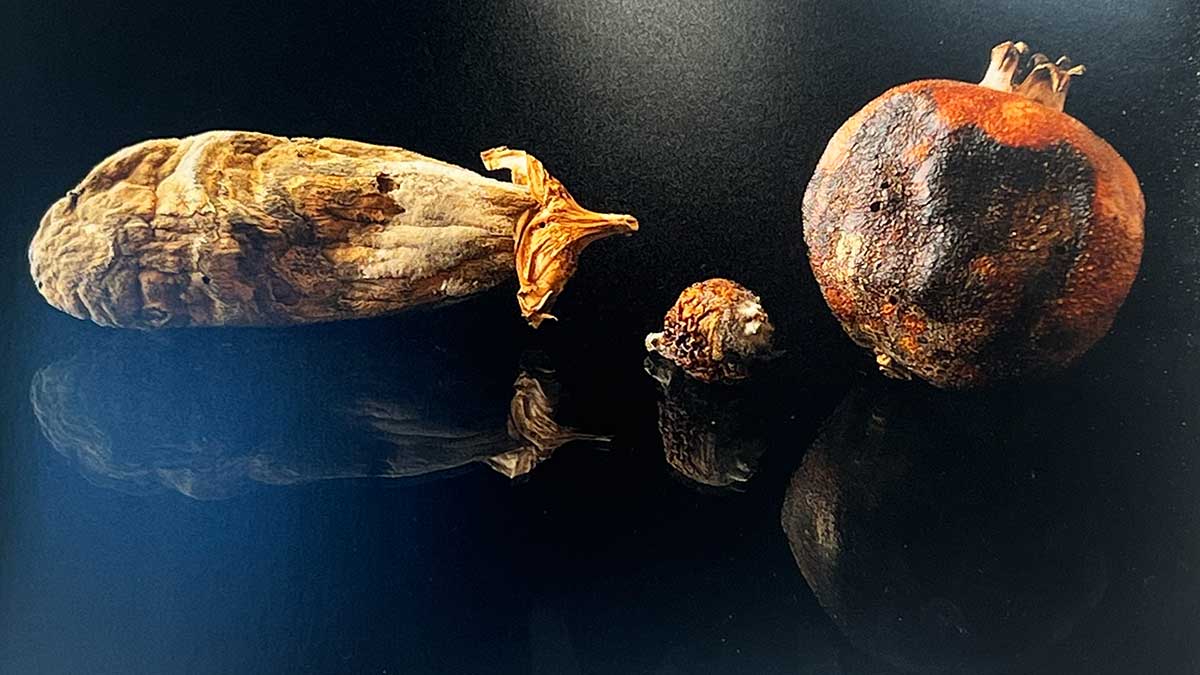 <i class='fas fa-caret-right fa-lg' ></i> 41è Concurs de Fotografia de la Festa Major