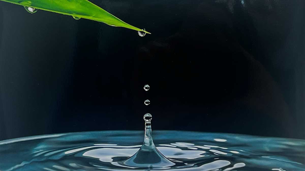 <i class='fas fa-caret-right fa-lg' ></i> 41è Concurs de Fotografia de la Festa Major