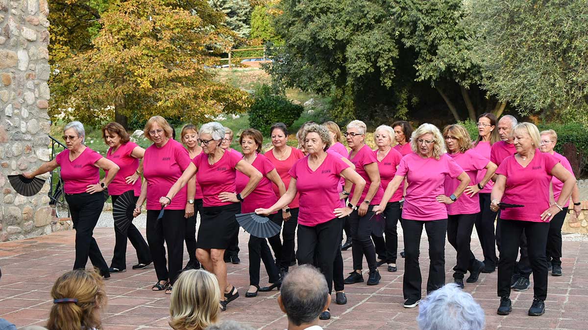 <i class='fas fa-caret-right fa-lg' ></i> Setmana de la Gent Gran 2025