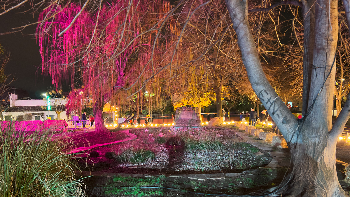 <i class='fas fa-caret-right fa-lg' ></i> Cavalcada 2026