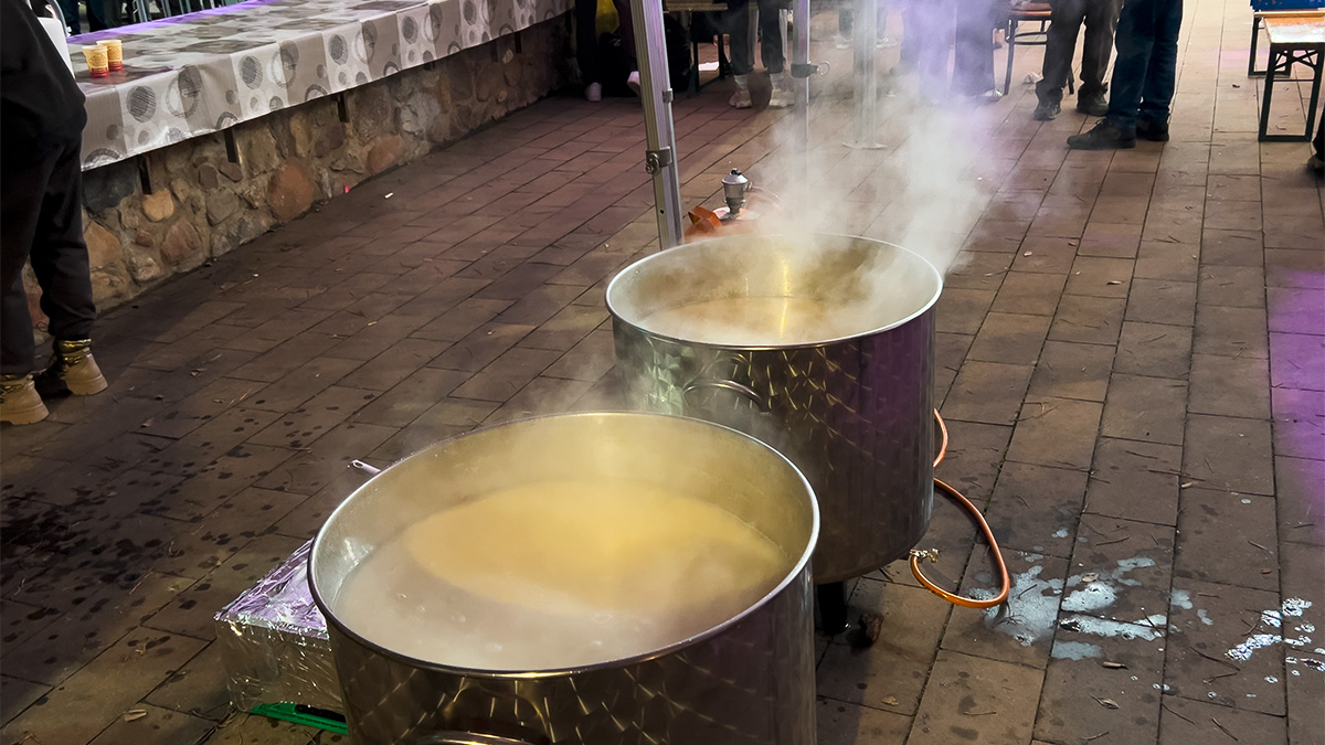 <i class='fas fa-caret-right fa-lg' ></i> Cavalcada 2026